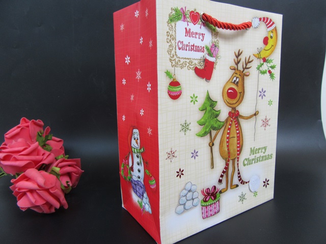 10Pcs Christmas paper bag Gift Bag Assorted 22.5x17x9.7cm